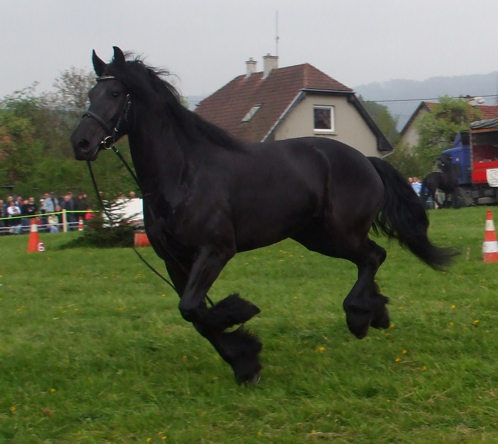 Malé zpestření.jpg