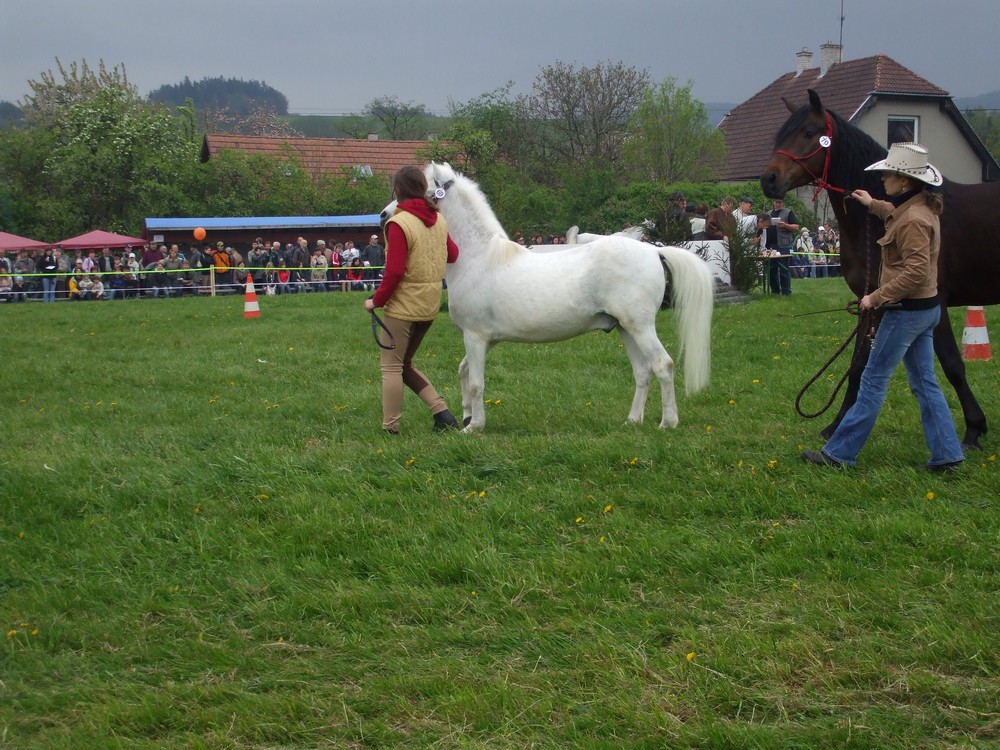 Pavča and Čudro.jpg